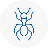 Ant Removals In Coppull