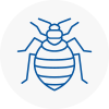 Bed Bug Extermination In Coppull