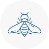 Bee Nest Removal Coppull