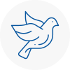 Bird Prevention Coppull