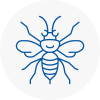 Coppull Hornet Nest Removals