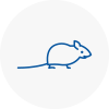 Mice Exterminators In Coppull