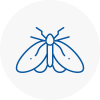 Moth Control Specialists In Coppull