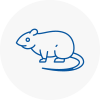 Rat Control Coppull