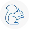 Coppull Rodent Removals
